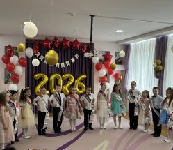 img (17)